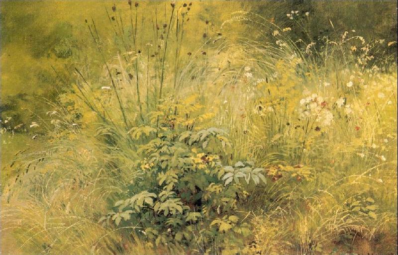 Ivan Shishkin Herbage china oil painting image